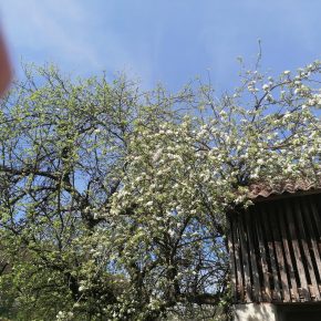 inbound6692270906795282363 