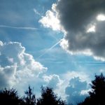 Profile picture of Rikan Markovic